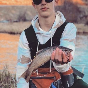 Meet your Posher, Levi